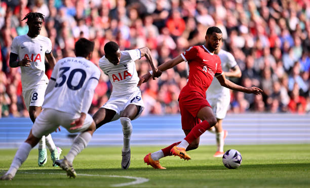 而届时将有 而届时将有