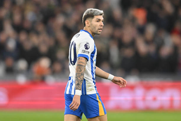 他们彼此建 他们彼此建