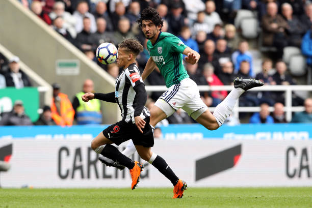 尽管近年来 尽管近年来