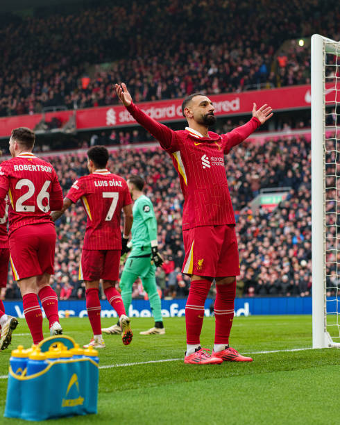 本菲卡的成 本菲卡的成