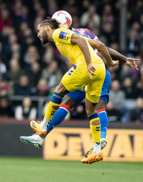 他们的贡献 他们的贡献